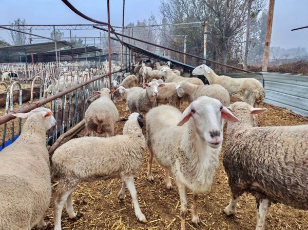 a6dae7d1dd2bfde3b086bd41f7b0fbc.jpg a6dae7d1dd2bfde3b086bd41f7b0fbc.jpg