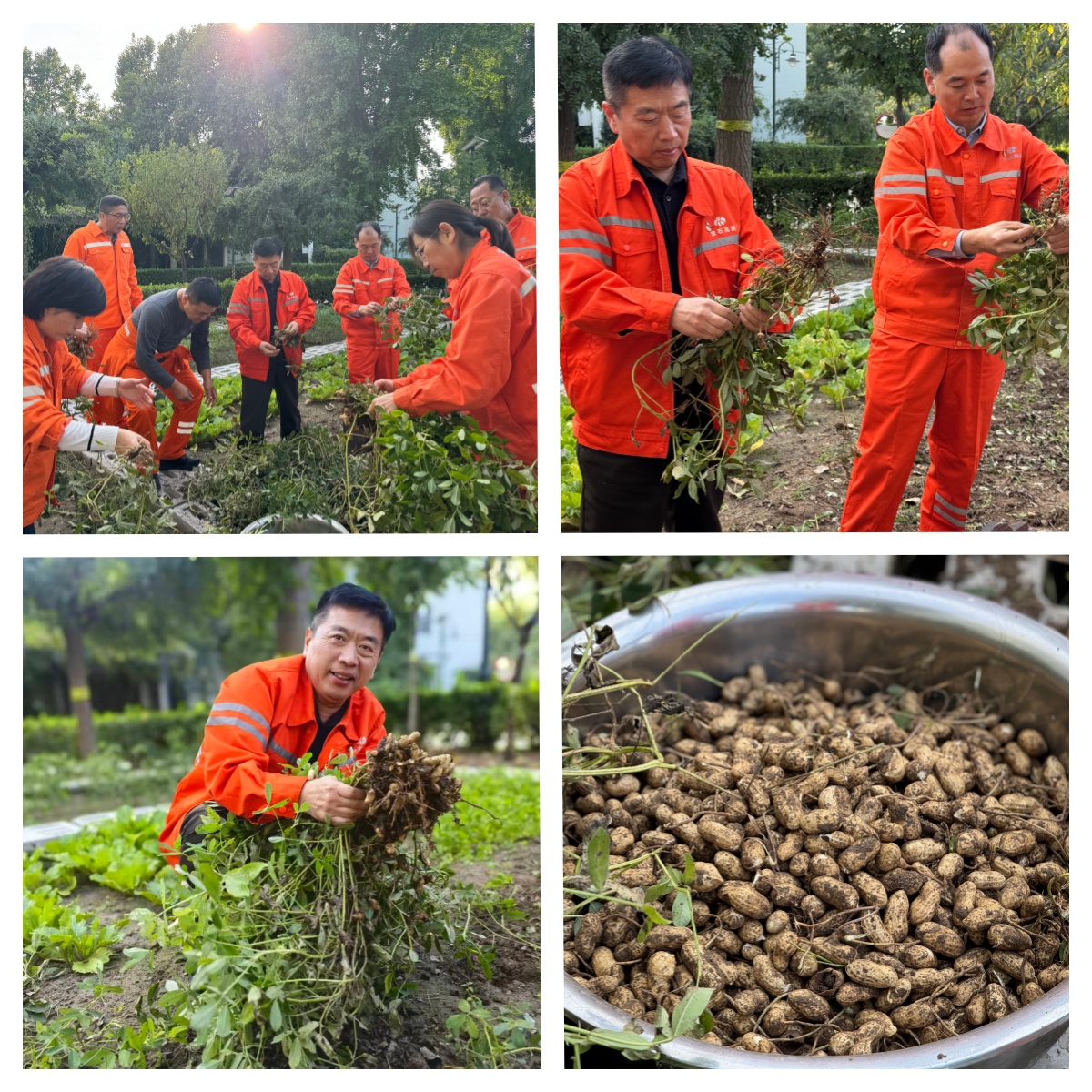 未命名.jpg 未命名.jpg