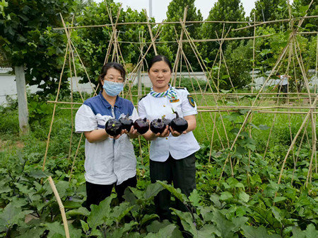 微信圖片_20250710100627_113_副本.jpg 微信圖片_20250710100627_113_副本.jpg